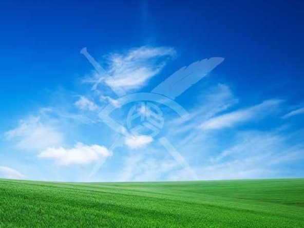 Парцел в с. Изворище, Област Бургас - 900 кв.м за 13 €/кв.м - Снимка #1