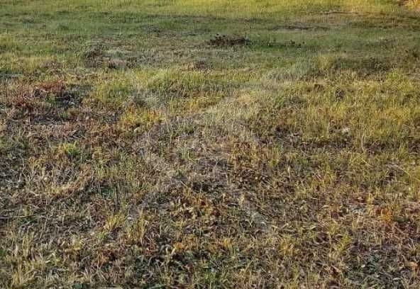 Парцел в Съединение - 797 кв.м за 43 €/кв.м - Снимка #1