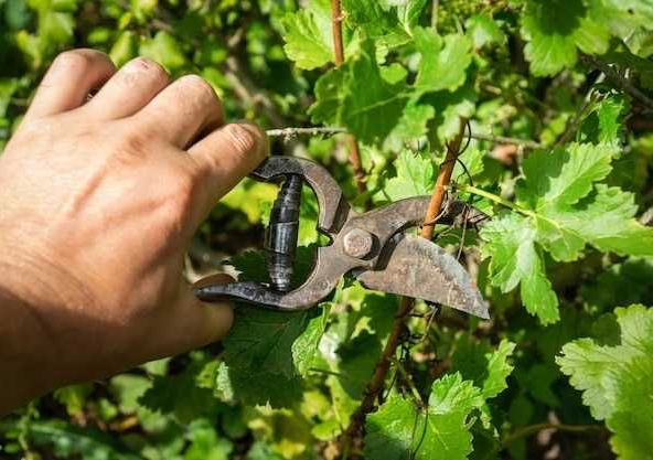 Дава се под наем Гараж / Паркомясто в Пазарджик, Запад - 60 кв.м за 43.35 € - Снимка #1