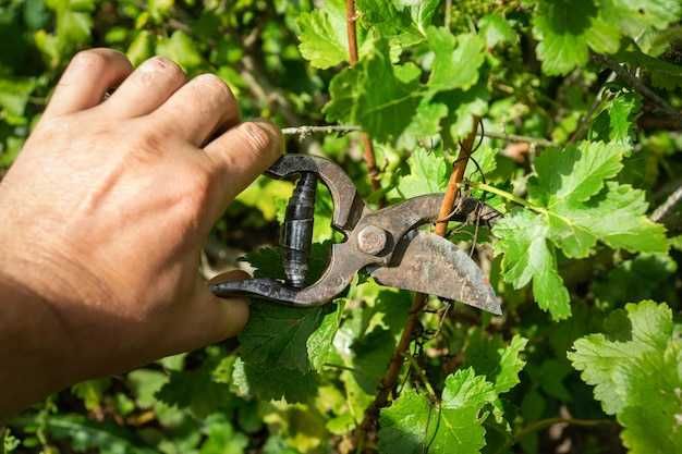 Дава се под наем Гараж / Паркомясто в Пазарджик, Запад - 60 кв.м за 43.35 € - Снимка #1