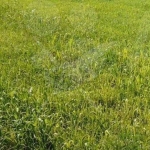 Парцел в с. Крушево, Област Пловдив - 1850 кв.м за 28 €/кв.м - Снимка #1