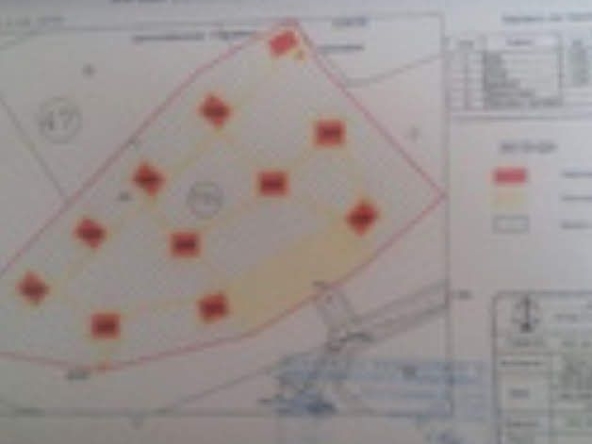 Парцел в Стрелча - 12000 кв.м за 51 €/кв.м - Снимка #1