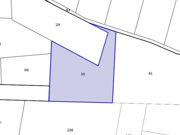 Парцел в Раковски - 3019 кв.м за 30 €/кв.м - Снимка #1