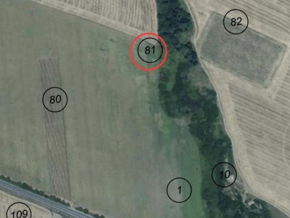 Земеделски имот в с. Копринка, Област Стара Загора -  кв.м за 1928 €/дка - Снимка #1