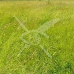 Парцел в с. Оризари, Област Пловдив - 9000 кв.м за 6 €/кв.м - Снимка #1