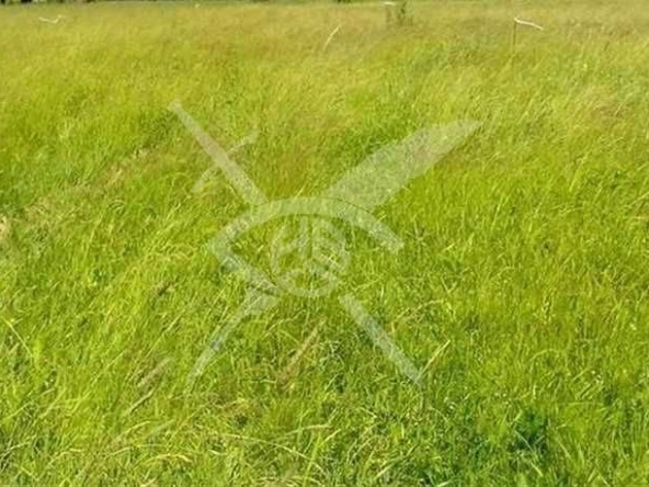 Парцел в с. Оризари, Област Пловдив - 9000 кв.м за 6 €/кв.м - Снимка #1