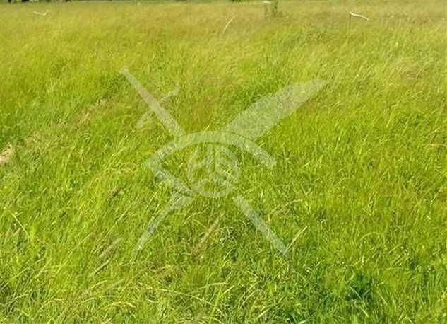 Парцел в с. Оризари, Област Пловдив - 9000 кв.м за 12 €/кв.м - Снимка #1