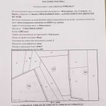 Земеделски имот в с. Николаевка, Област Варна -  кв.м за 702 €/дка - Снимка #1