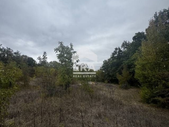 Парцел в с. Осеново, Област Варна - 3802 кв.м за 16 €/кв.м - Снимка #1