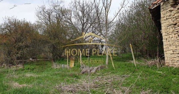 Парцел в с. Панайот Волово, Област Шумен - 1220 кв.м за 18 €/кв.м - Снимка #1