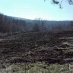 Парцел в с. Росен, Област Бургас - 5600 кв.м за 17 €/кв.м - Снимка #1