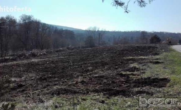 Парцел в с. Росен, Област Бургас - 5600 кв.м за 17 €/кв.м - Снимка #1