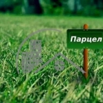 Парцел в с. Здравец, Област Варна - 4000 кв.м за 11 €/кв.м - Снимка #1