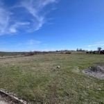 Парцел в с. Татарево, Област Хасково - 3800 кв.м за 12 €/кв.м - Снимка #1