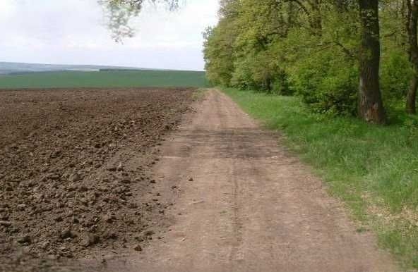 Парцел в с. Ведрина, Област Добрич - 1840 кв.м за 6 €/кв.м - Снимка #1