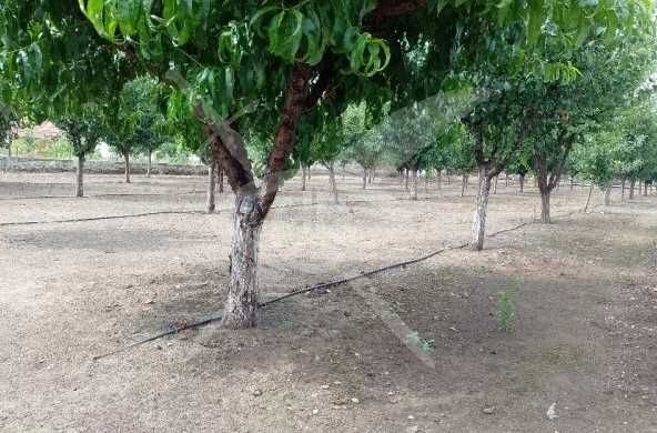 Парцел в с. Градина, Област Пловдив - 10450 кв.м за 7 €/кв.м - Снимка #1