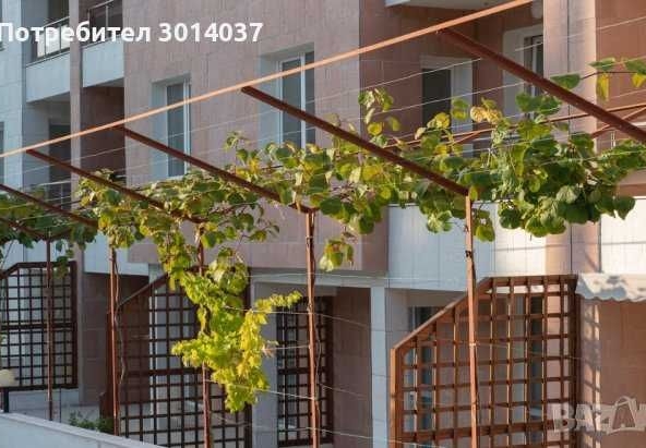 Заведение в Бяла - 50 кв.м за 388 €/кв.м - Снимка #1