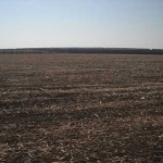 Земеделски имот в с. Златоклас, Област Силистра -  кв.м за 186 €/дка - Снимка #1