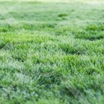 Парцел в Асеновград - 947 кв.м за 45 €/кв.м - Снимка #1