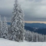 Парцел в с. Зорница, Област Смолян - 4414 кв.м за 17 €/кв.м - Снимка #1