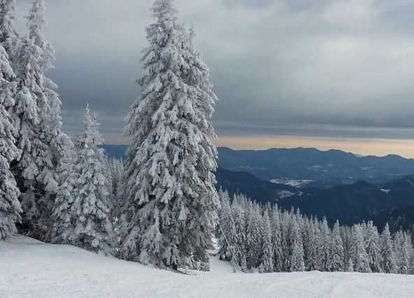 Парцел в с. Зорница, Област Смолян - 4414 кв.м за 17 €/кв.м - Снимка #1