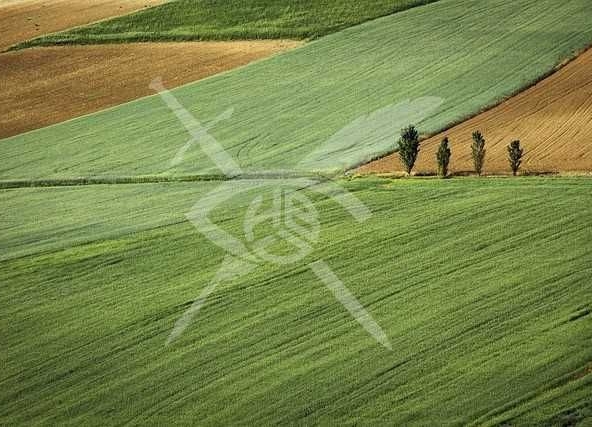 Парцел в с. Кошарица, Област Бургас - 1673 кв.м за 9 €/кв.м - Снимка #1