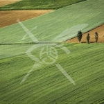 Парцел в с. Кошарица, Област Бургас - 3188 кв.м за 8 €/кв.м - Снимка #1