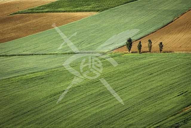 Парцел в с. Оризаре, Област Бургас - 1505 кв.м за 17 €/кв.м - Снимка #1