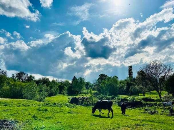 Парцел в Търговище, Център - 700 кв.м за 14 €/кв.м - Снимка #1