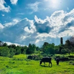 Парцел в Търговище, Център - 700 кв.м за 14 €/кв.м - Снимка #1