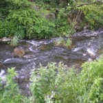 Парцел в Стара Загора, Аязмото - 6702 кв.м за 5 €/кв.м - Снимка #1