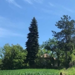 Къща в Русе, Алеи Възраждане - 112 кв.м за 242 €/кв.м - Снимка #1