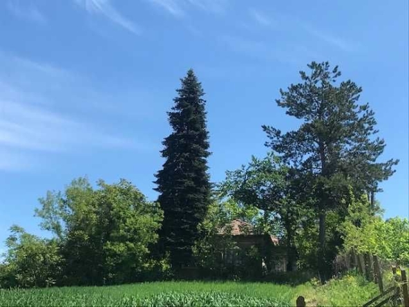 Къща в Русе, Алеи Възраждане - 112 кв.м за 242 €/кв.м - Снимка #1