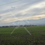 Парцел в с. Белащица, Област Пловдив - 4900 кв.м за 41 €/кв.м - Снимка #1