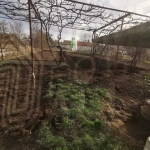 Къща в с. Опицвет, Област София-област - 200 кв.м за 540 €/кв.м - Снимка #1