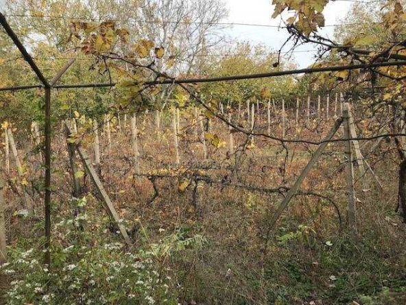 Парцел в Русе, Долапите - 708 кв.м за 5 €/кв.м - Снимка #1