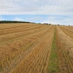 Земеделски имот в Дулово -  кв.м за 85 €/дка - Снимка #1