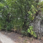 Къща в Силистра, Римска гробница - 70 кв.м за 183 €/кв.м - Снимка #1