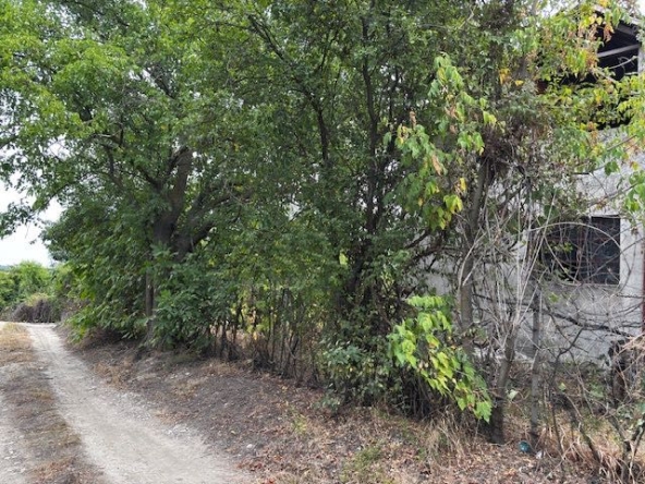 Къща в Силистра, Римска гробница - 70 кв.м за 183 €/кв.м - Снимка #1