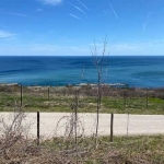 Парцел в к.к. Златни пясъци - 3490 кв.м за 45 €/кв.м - Снимка #1