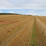 Земеделски имот в с. Мало Конаре, Област Пазарджик -  кв.м за 510 €/дка - Снимка #1