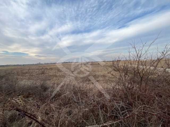 Парцел в с. Марково, Област Пловдив - 4500 кв.м за 70 €/кв.м - Снимка #1