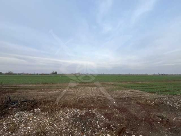 Парцел в Пловдив, Христо Смирненски - 23000 кв.м за 10 €/кв.м - Снимка #1