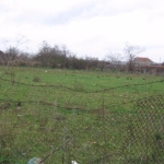 Парцел в с. Божурец, Област Добрич - 3687 кв.м за 13 €/кв.м - Снимка #1