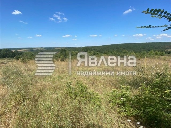 Парцел в с. Приселци, Област Варна - 1850 кв.м за 25 €/кв.м - Снимка #1