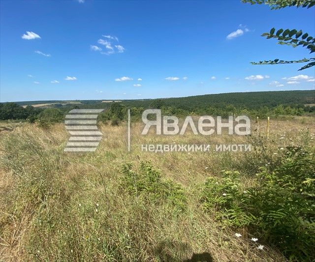 Парцел в с. Приселци, Област Варна - 1850 кв.м за 25 €/кв.м - Снимка #1