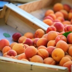 Земеделски имот в с. Зафирово, Област Силистра -  кв.м за 243 €/дка - Снимка #1