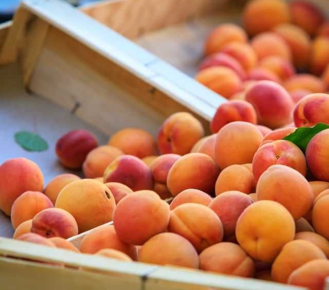 Земеделски имот в с. Зафирово, Област Силистра -  кв.м за 243 €/дка - Снимка #1