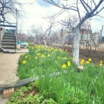 Къща в Бургас, Банево - 115 кв.м за 1783 €/кв.м - Снимка #1