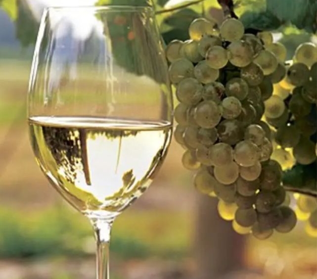 Дава се под наем Парцел в с. Браниполе, Област Пловдив - 6000 кв.м за 51 € - Снимка #1